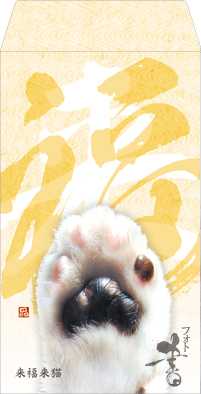 �����ۂ���