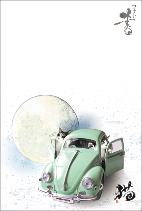 ���[�Q���L���b�g