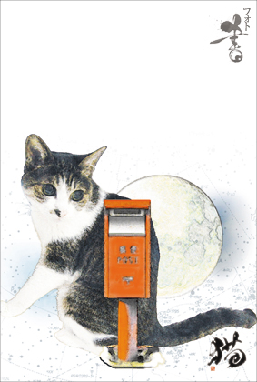 �|�X�g�L���b�g